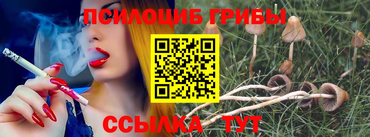 Октябрьский  Галлюциногенные грибы прущие грибы  Вход с VPN 