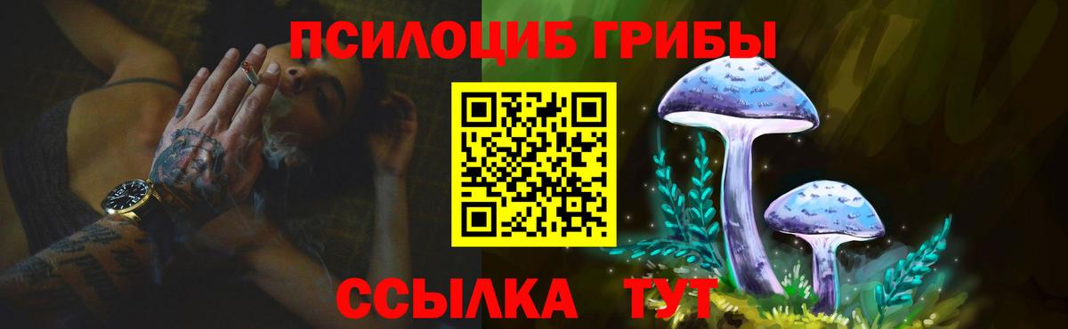 Псилоцибиновые грибы Psilocybe Октябрьский